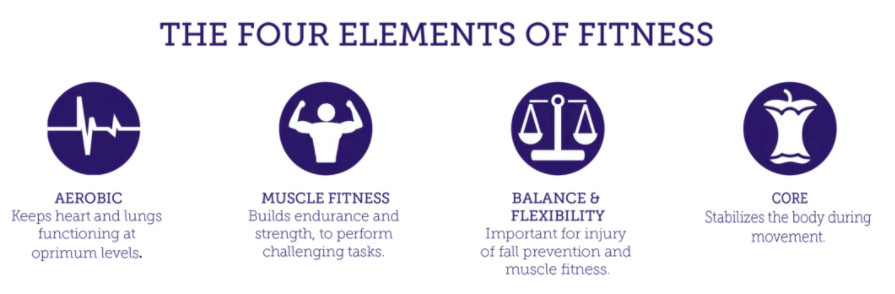 4 thành phần của fitness